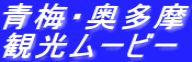 �~�E�������ό����[�r�[