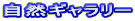 ���R�M�������[
